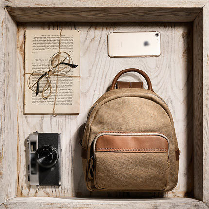 Cute Small Canvas and Brown Leather Rucksack Backpack Purse for Women Best