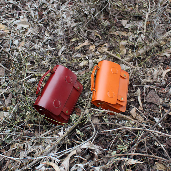 Womens Small Leather Satchel Messenger Bags Square Crossbody Bag Purse for Women cute