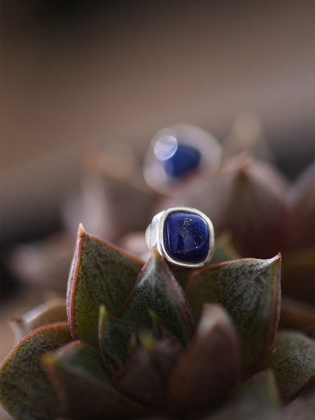 Lapis Lazuli Stud Earrings Sterling Silver Jewelry Accessories Gifts Women beautiful